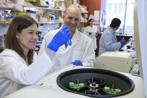 Members of the Kuhns lab study the “conversations” between T cells and the rest of the immune system. From left: Heather Parrish, Michael Kuhns, Katrina Lichauco and Mark Lee. (Photo: Kris Hanning/UAHS, ABOR, BioCommunications) Members of the Kuhns lab study the “conversations” between T cells and the rest of the immune system. From left: Heather Parrish, Michael Kuhns, Katrina Lichauco and Mark Lee. (Photo: Kris Hanning/UAHS, ABOR, BioCommunications)